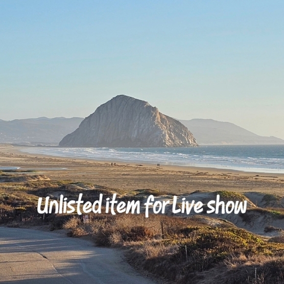 Unlisted Item For Live Shows - Picture 1 of 1